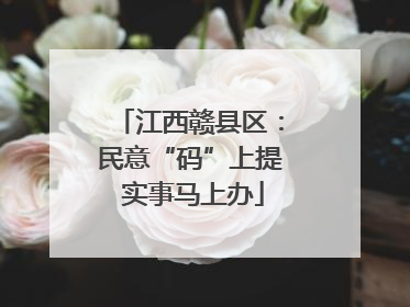 江西赣县区：民意“码”上提 实事马上办
