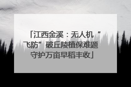 江西金溪：无人机“飞防”破丘陵植保难题 守护万亩早稻丰收