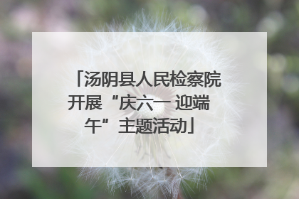 汤阴县人民检察院开展“庆六一 迎端午”主题活动