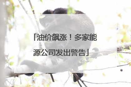 油价飙涨！多家能源公司发出警告