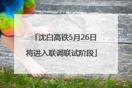沈白高铁5月26日将进入联调联试阶段