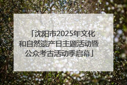 沈阳市2025年文化和自然遗产日主题活动暨公众考古活动季启幕