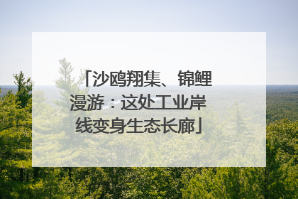 沙鸥翔集、锦鲤漫游：这处工业岸线变身生态长廊
