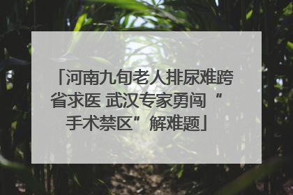 河南九旬老人排尿难跨省求医 武汉专家勇闯“手术禁区”解难题