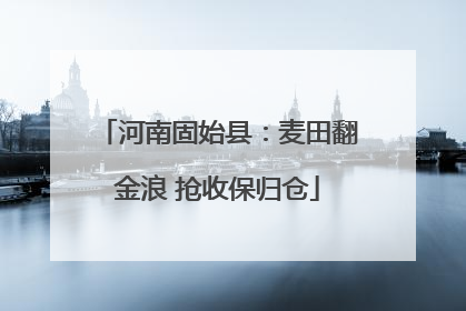 河南固始县：麦田翻金浪 抢收保归仓