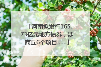 河南拟发行165.73亿元地方债券，涉商丘6个项目……