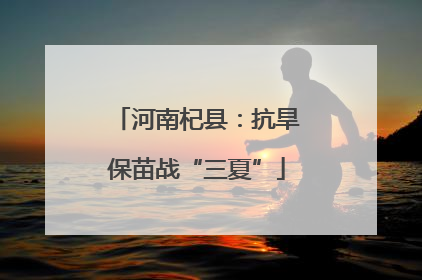 河南杞县：抗旱保苗战“三夏”