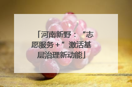 河南新野：“志愿服务＋”激活基层治理新动能