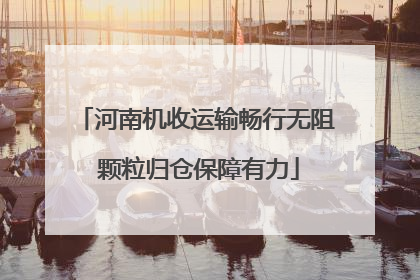 河南机收运输畅行无阻 颗粒归仓保障有力