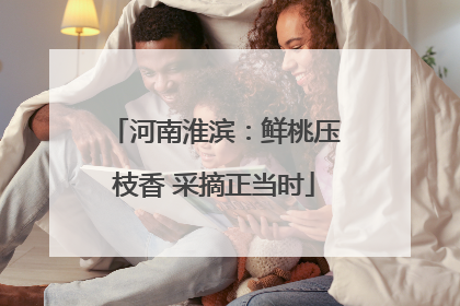 河南淮滨：鲜桃压枝香 采摘正当时