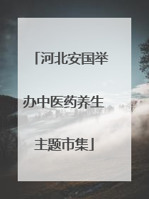 河北安国举办中医药养生主题市集