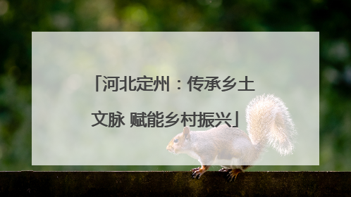 河北定州：传承乡土文脉 赋能乡村振兴