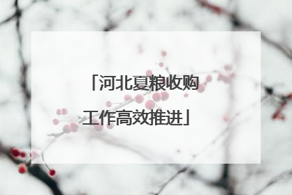 河北夏粮收购工作高效推进