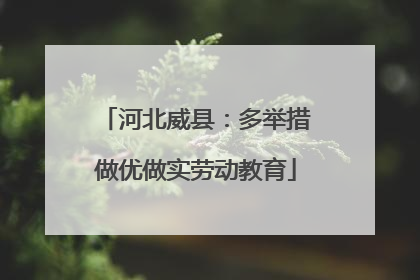河北威县：多举措做优做实劳动教育