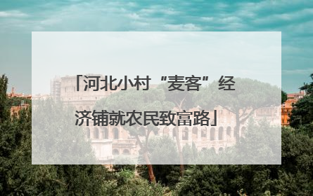 河北小村“麦客”经济铺就农民致富路