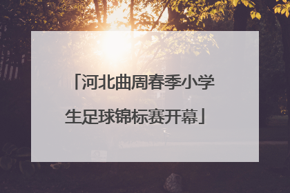 河北曲周春季小学生足球锦标赛开幕