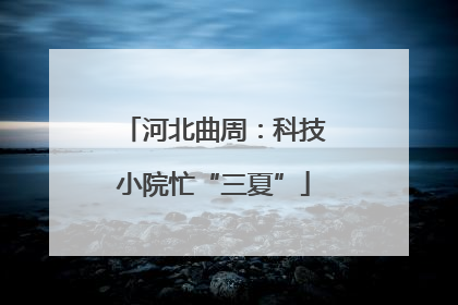 河北曲周：科技小院忙“三夏”