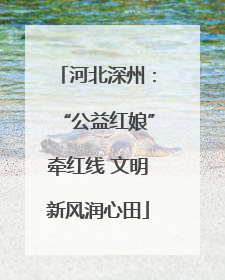 河北深州：“公益红娘”牵红线 文明新风润心田