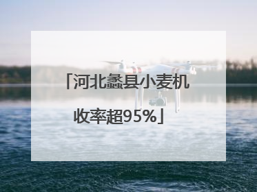 河北蠡县小麦机收率超95%