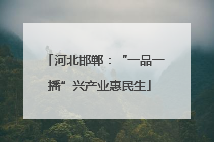 河北邯郸：“一品一播”兴产业惠民生