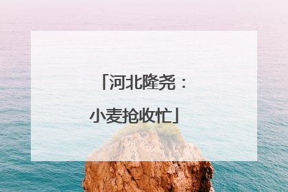 河北隆尧：小麦抢收忙
