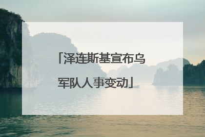 泽连斯基宣布乌军队人事变动