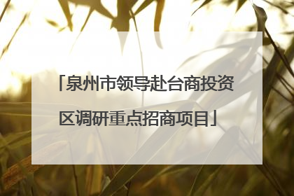 泉州市领导赴台商投资区调研重点招商项目
