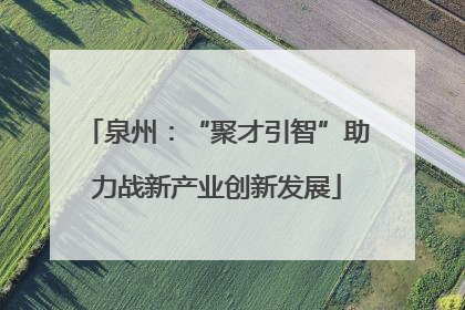 泉州：“聚才引智”助力战新产业创新发展