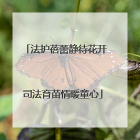 法护蓓蕾静待花开 司法育苗情暖童心