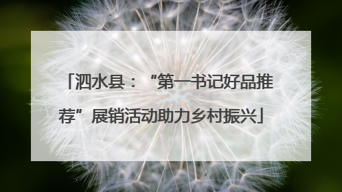 泗水县：“第一书记好品推荐”展销活动助力乡村振兴