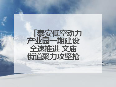 泰安低空动力产业园一期建设全速推进 文庙街道聚力攻坚抢抓“进度条”