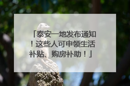 泰安一地发布通知！这些人可申领生活补贴、购房补助！