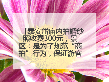 泰安岱庙内拍婚纱照收费300元，景区：是为了规范“商拍”行为，保证游客体验，收取费用全部上交国库