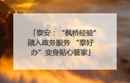 泰安：“枫桥经验”融入政务服务 “泰好办”变身贴心管家