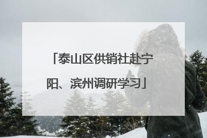 泰山区供销社赴宁阳、滨州调研学习