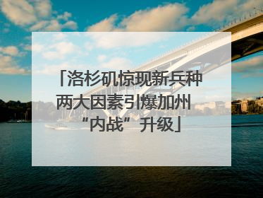 洛杉矶惊现新兵种 两大因素引爆加州“内战”升级