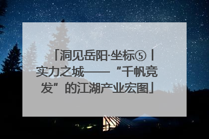 洞见岳阳·坐标⑤丨实力之城——“千帆竞发”的江湖产业宏图