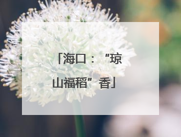 海口：“琼山福稻”香