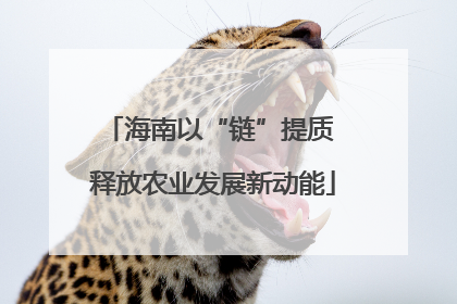 海南以“链”提质 释放农业发展新动能