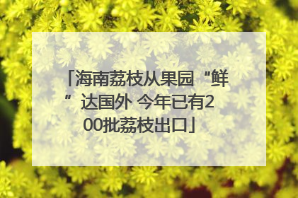 海南荔枝从果园“鲜”达国外 今年已有200批荔枝出口