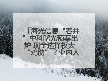 海光信息“吞并”中科曙光预案出炉 现金选择权太“鸡肋”？业内人士：企业不想大量现金流出