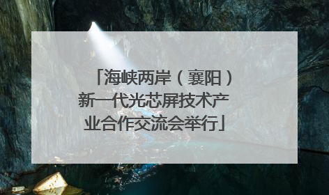 海峡两岸（襄阳）新一代光芯屏技术产业合作交流会举行