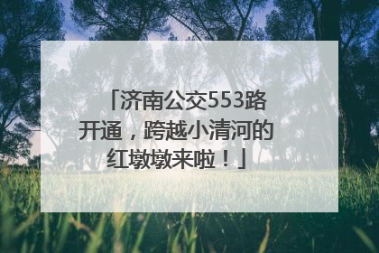 济南公交553路开通，跨越小清河的红墩墩来啦！
