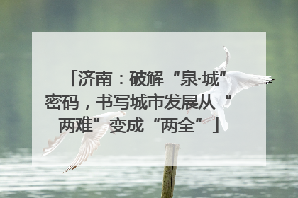 济南：破解“泉·城”密码，书写城市发展从“两难”变成“两全”