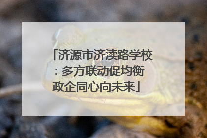 济源市济渎路学校：多方联动促均衡 政企同心向未来