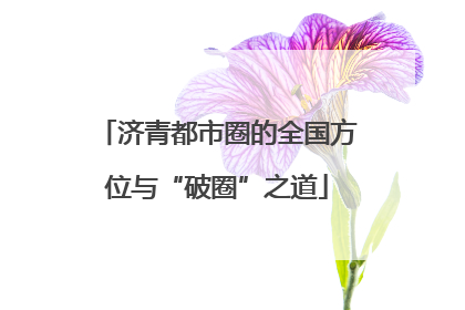 济青都市圈的全国方位与“破圈”之道