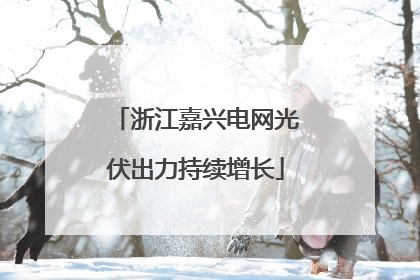 浙江嘉兴电网光伏出力持续增长