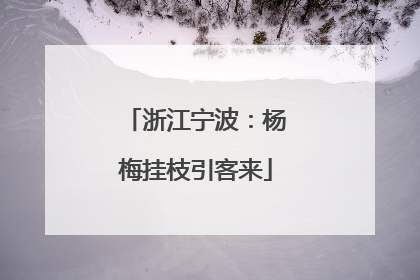 浙江宁波：杨梅挂枝引客来