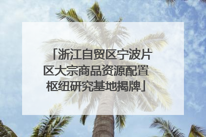 浙江自贸区宁波片区大宗商品资源配置枢纽研究基地揭牌