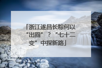 浙江遂昌长粽何以“出圈”？“七十二变”中探新路